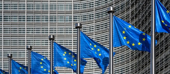 Ajout d’un identifiant européen sur les extraits Kbis des entreprises